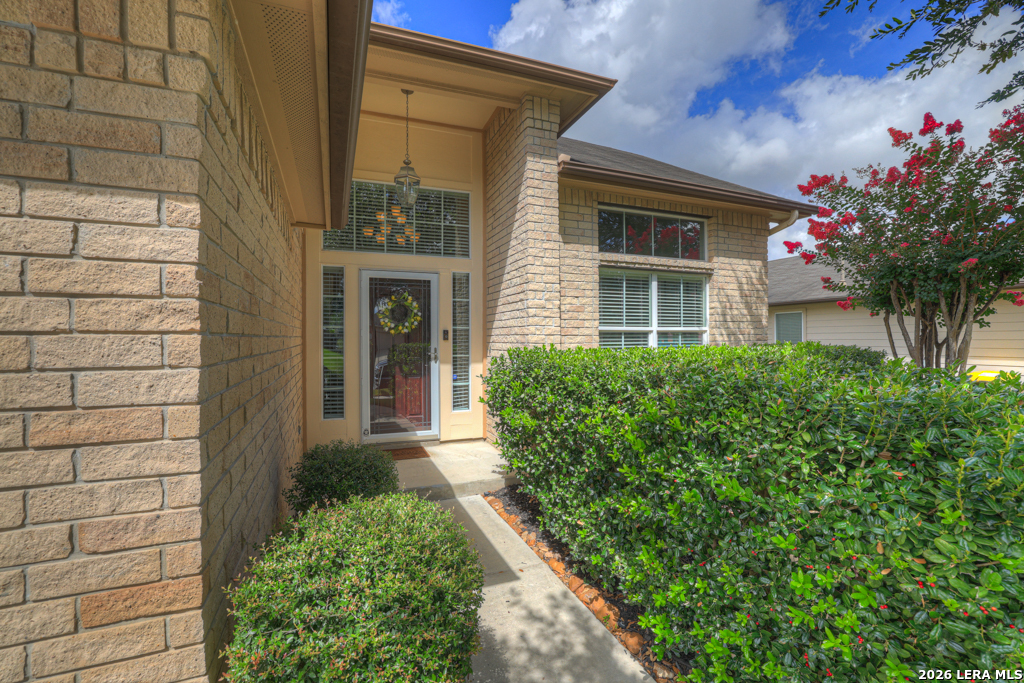716 Hollow Rdg, Schertz, TX 78108
