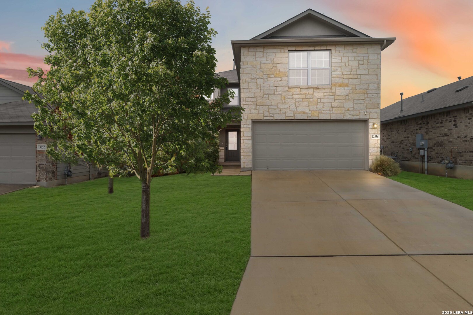 13356 Sugarberry Elm