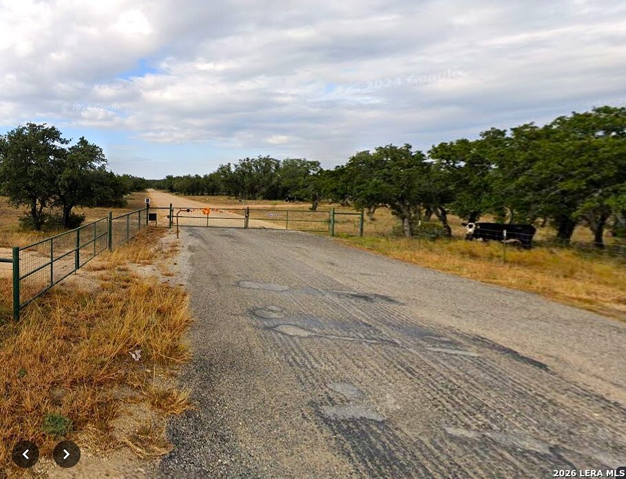 264 Pheasant Listing Cover Image