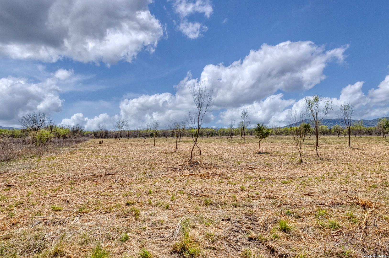 TBD WHITETAIL WAY, Rio Frio, TX 78879