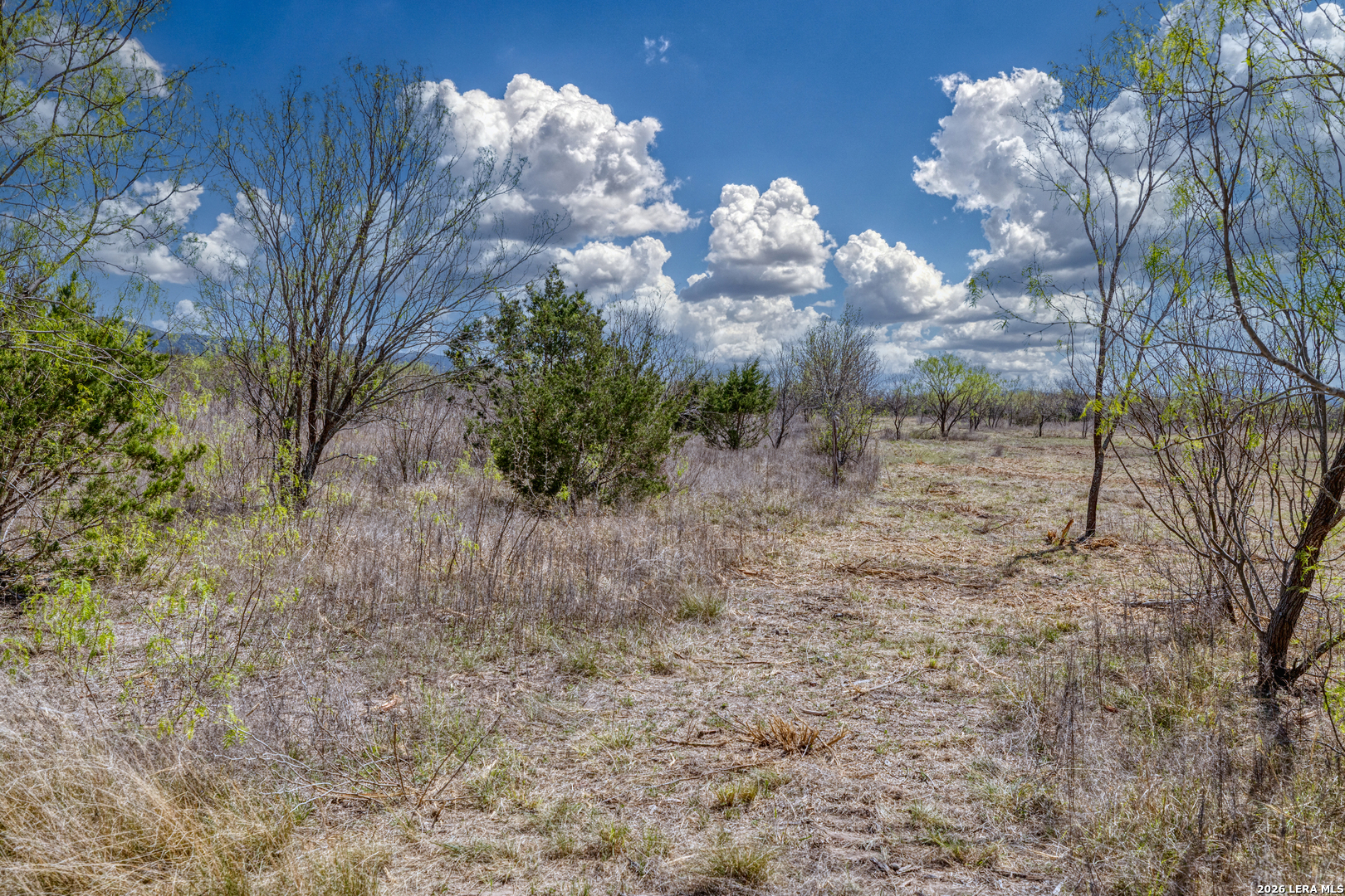 TBD WHITETAIL WAY, Rio Frio, TX 78879
