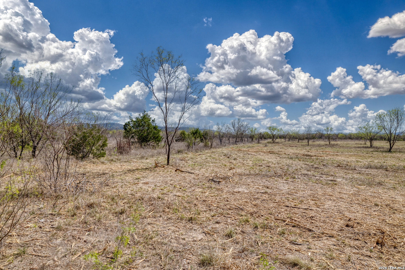 TBD WHITETAIL WAY, Rio Frio, TX 78879