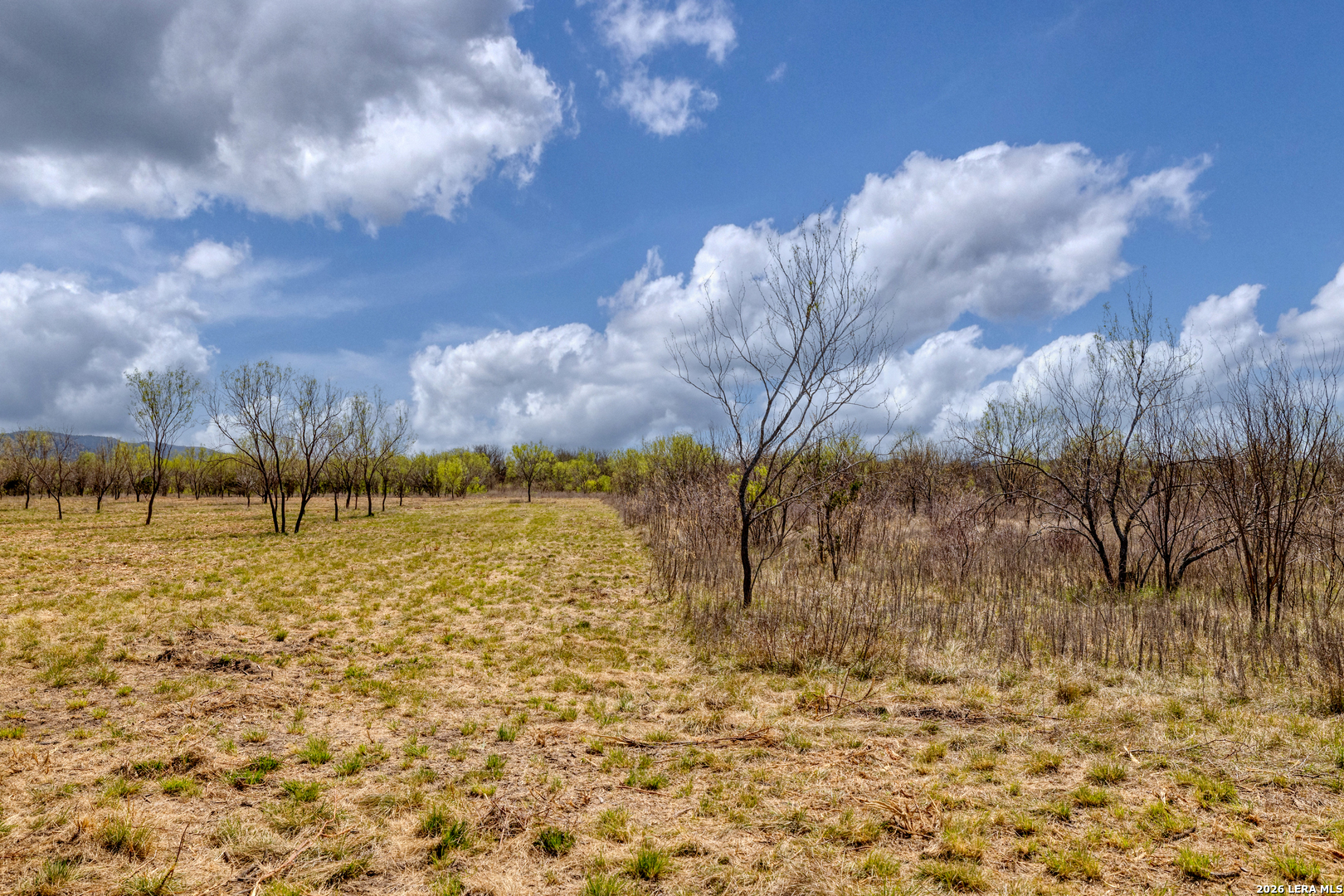 TBD Whitetail Way, Rio Frio, TX 78879