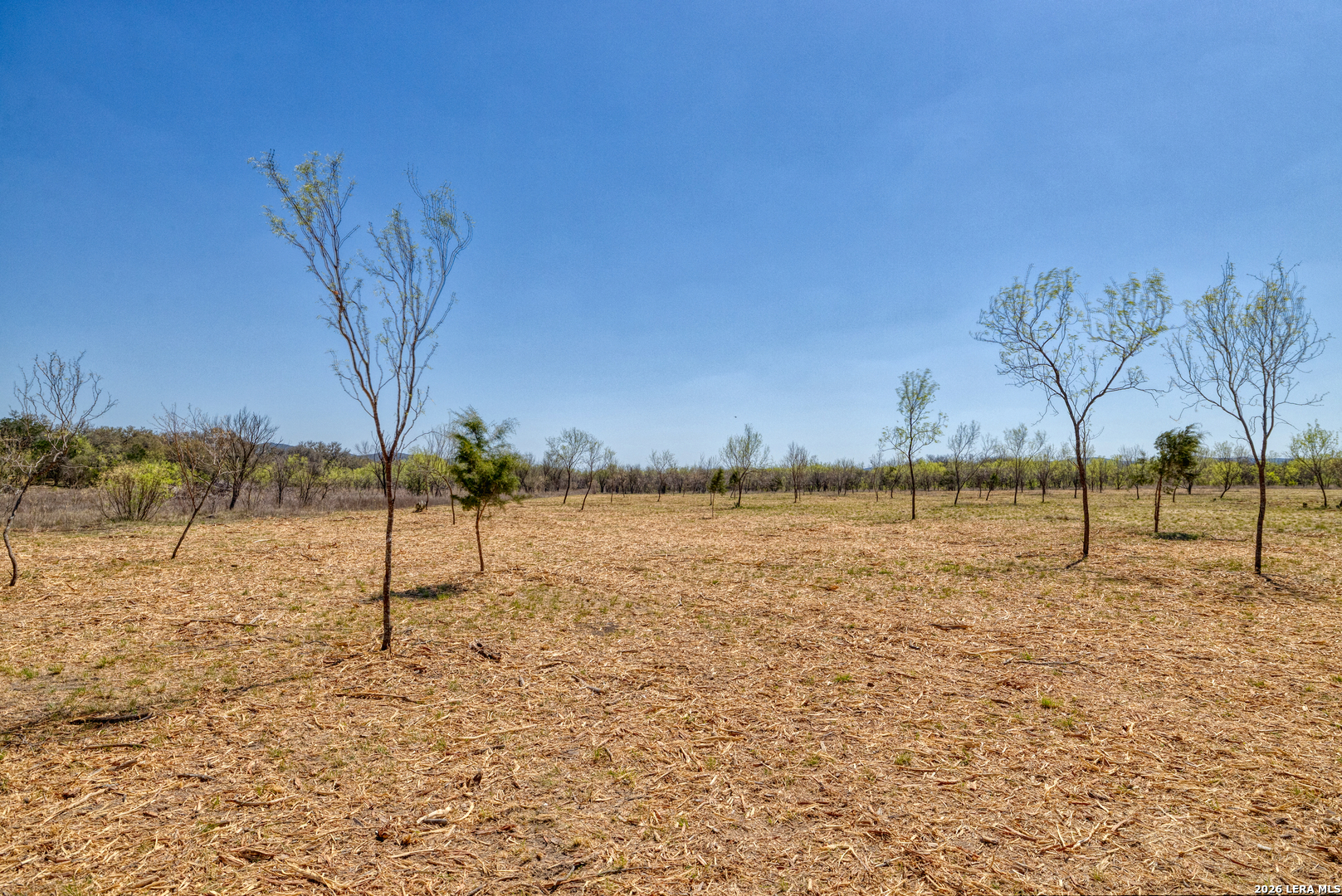 TBD Whitetail Way, Rio Frio, TX 78879