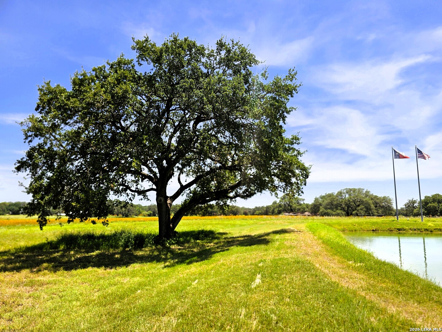 799 County Road 6612, photo 9