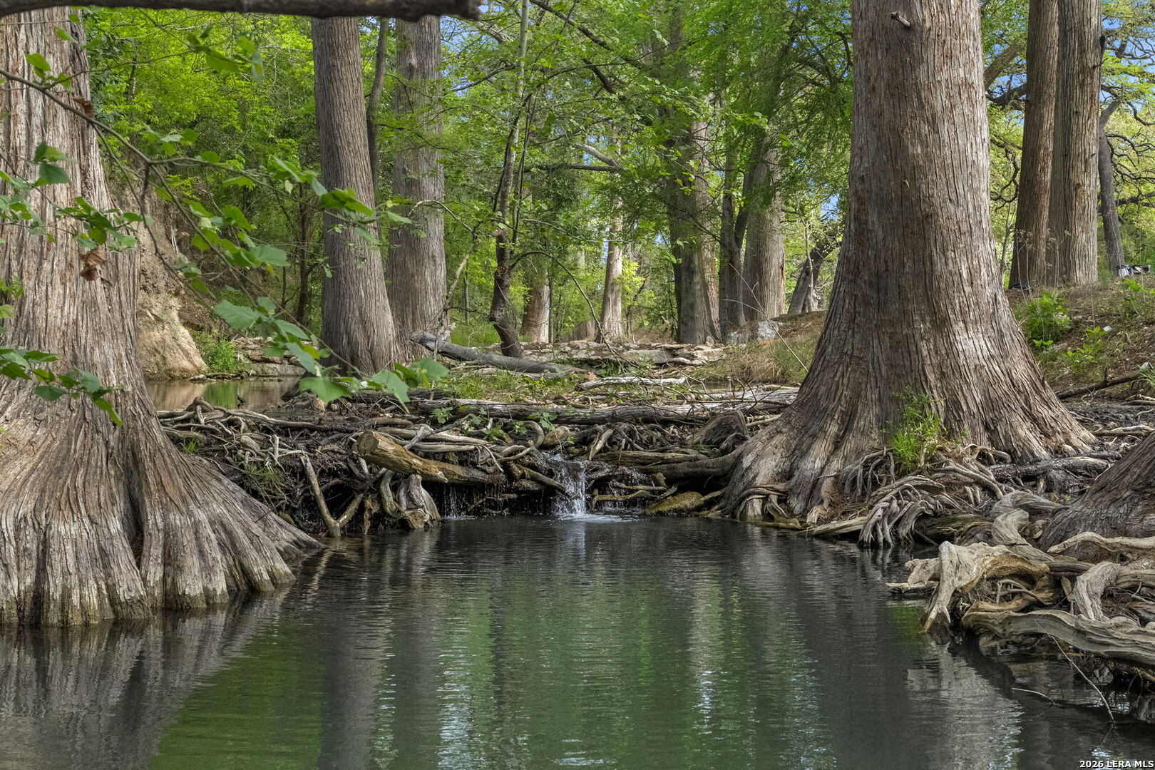 608 Creek Rd Listing Cover Image