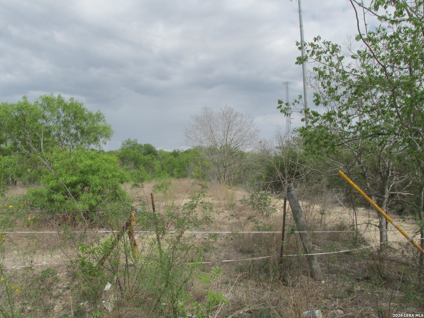 T.B.D Holm Listing Cover Image