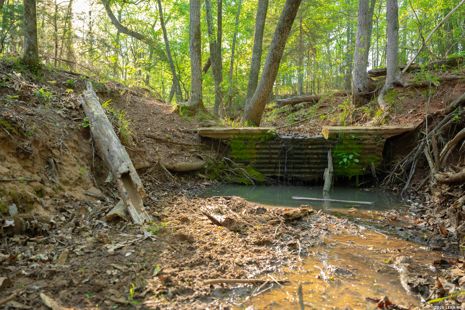 14926 county road 438