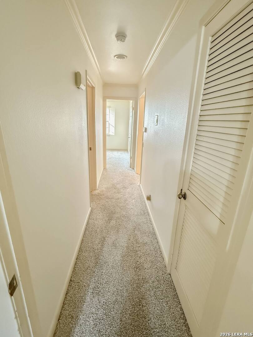 8415 Fredericksburg Rd, #1004, San Antonio, TX 78229