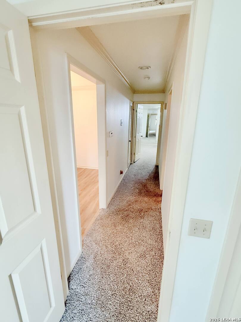 8415 Fredericksburg Rd, #1004, San Antonio, TX 78229