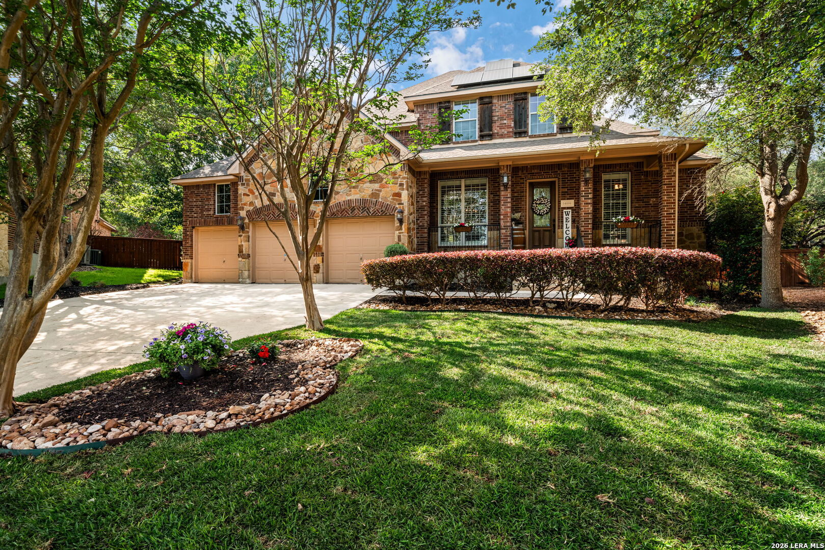 24006 Estrella Noche