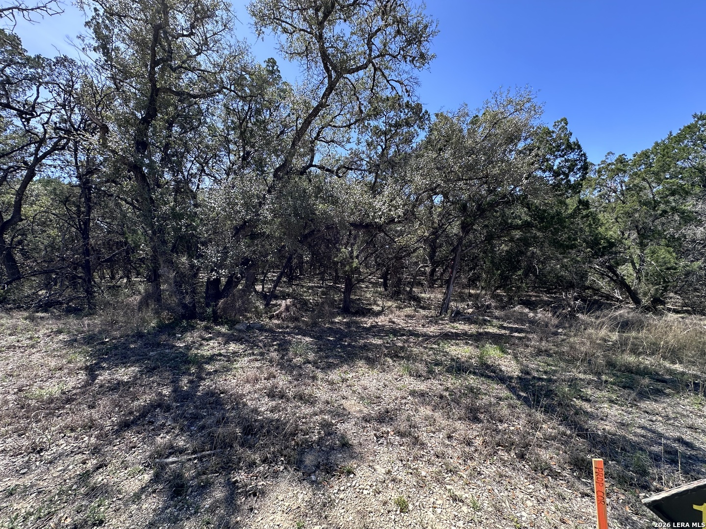 210 Tremaine Listing Cover Image