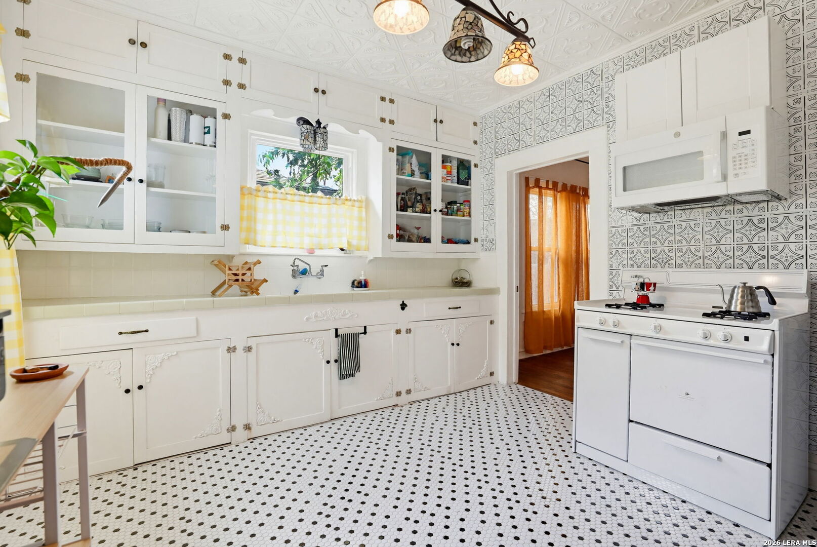239 E Ligustrum, San Antonio, TX 78228