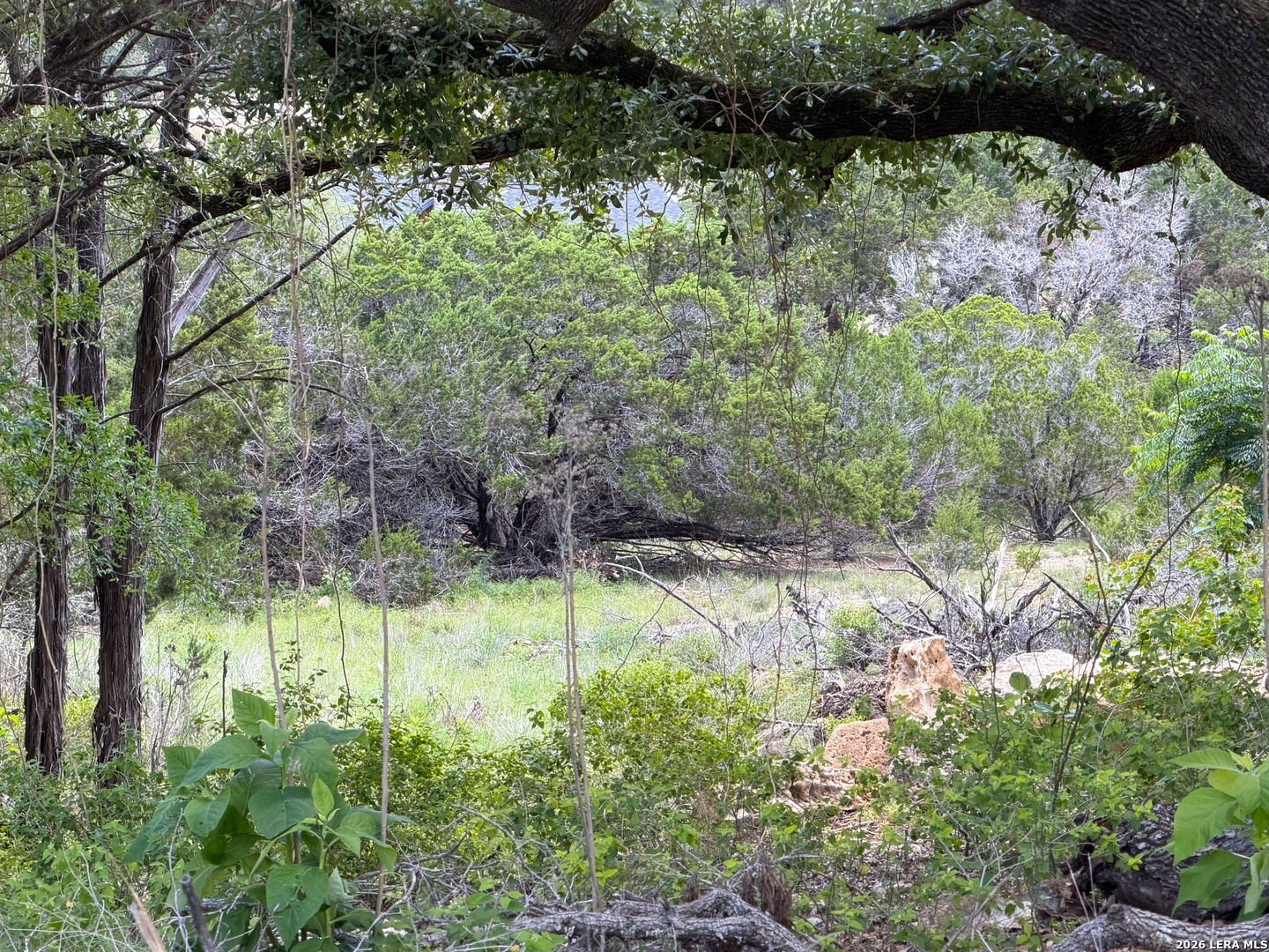 273 Scenic Dr. Listing Cover Image