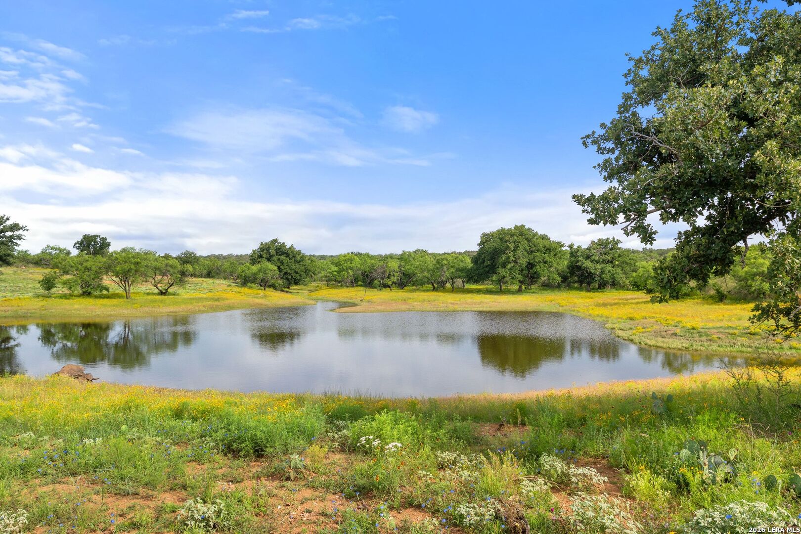 3722 Ranch Road 2241