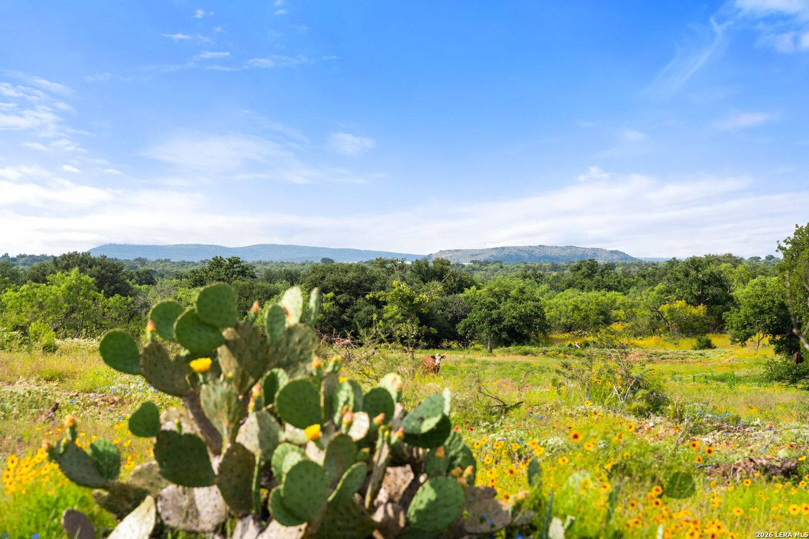 3722 Ranch Road 2241