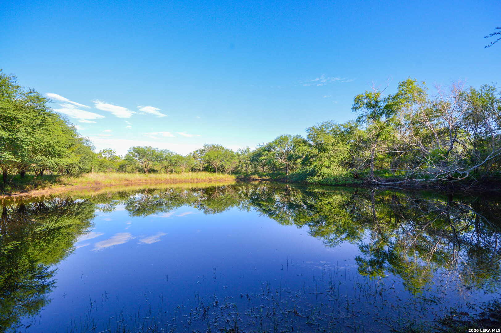 TBD Cr 426 Listing Cover Image