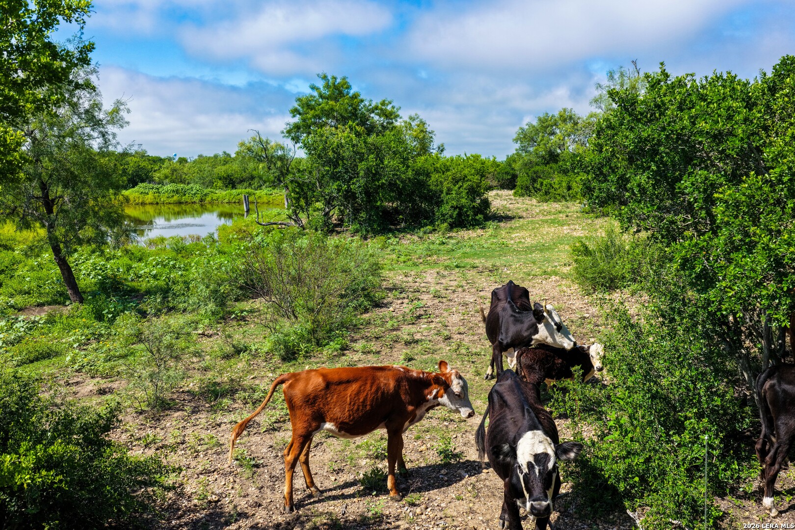 Photo of Private Road 5754, Castroville, TX 78009