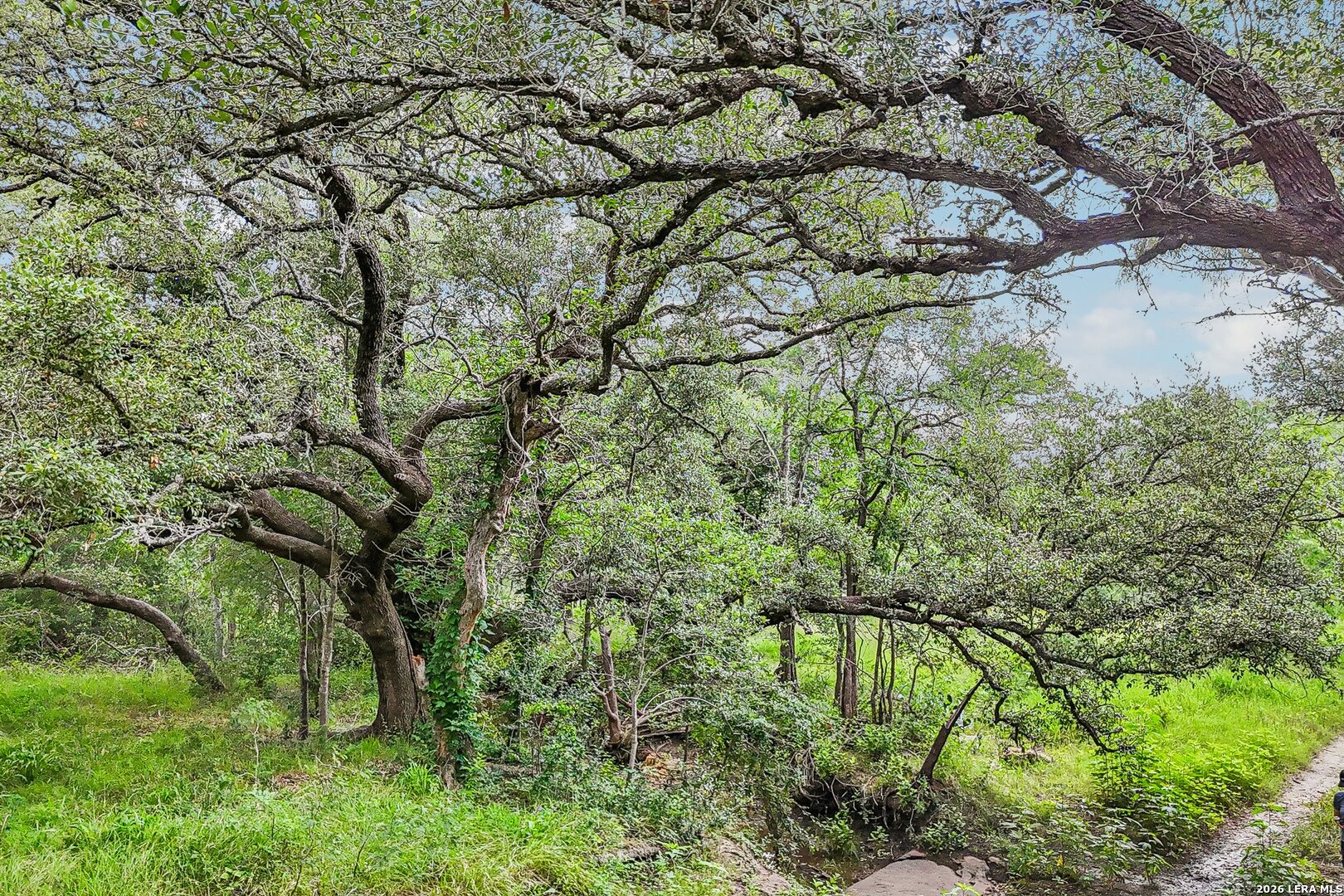 1617 Blue Creek Rd Listing Cover Image