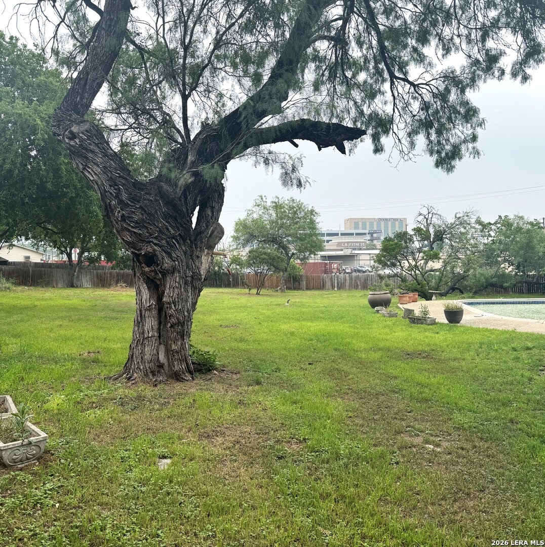 Castle Hills, TX 78213