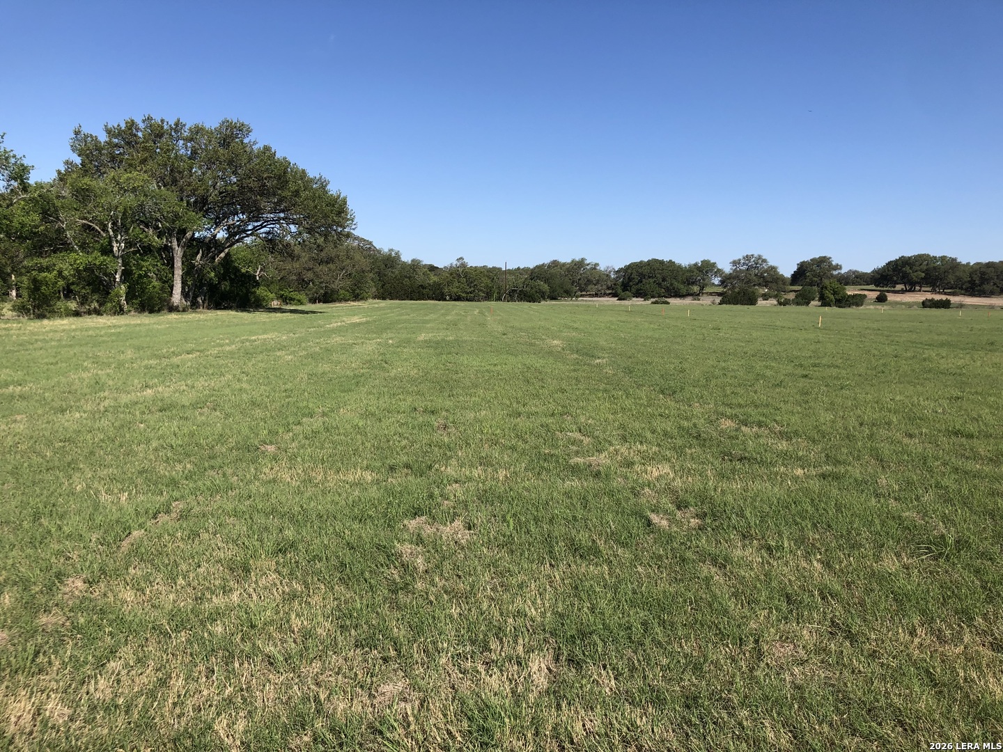 34587 Tiffany Belle Rd Listing Cover Image