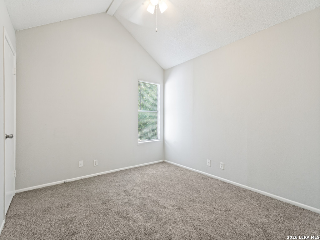 7519 Windsor Oaks, San Antonio, TX 78239