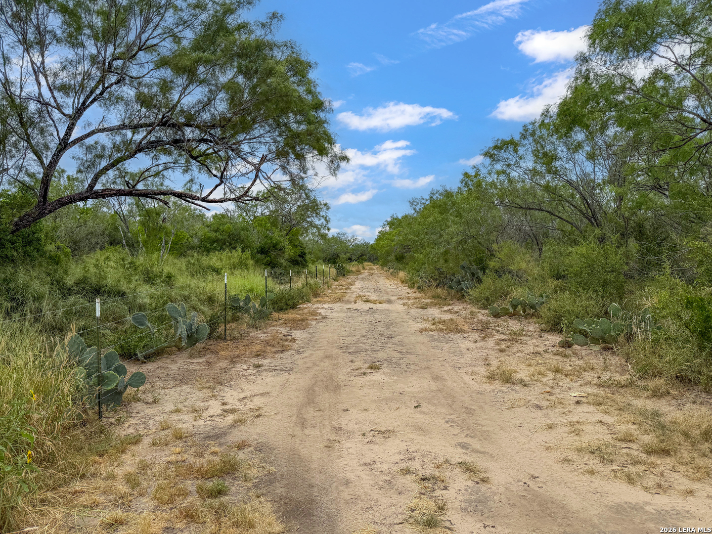 47th image of 1174 County Road 2537, Moore, TX 78057 | MLS# 2000931