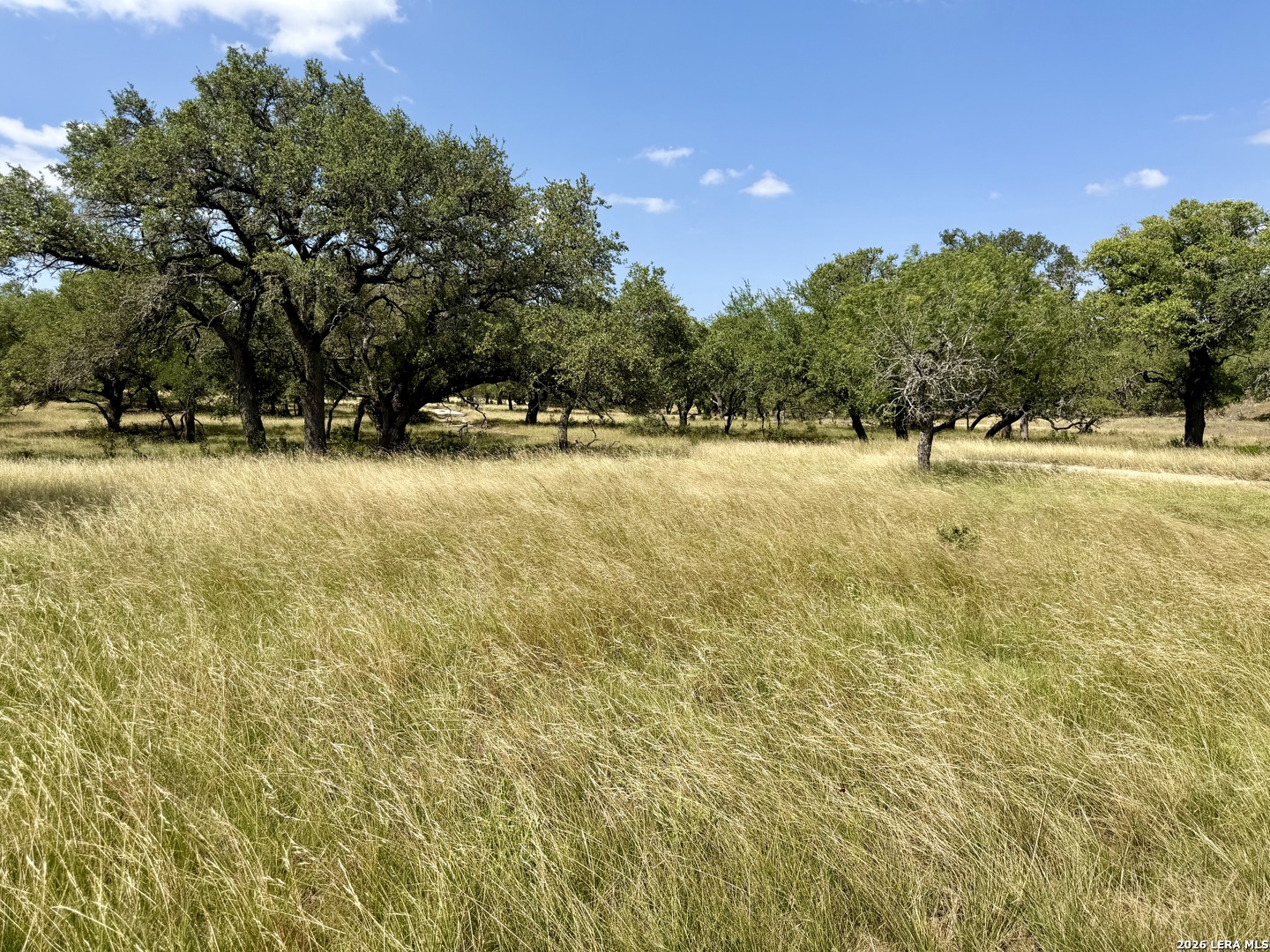 43 ACRES Sattler Rd. Listing Cover Image