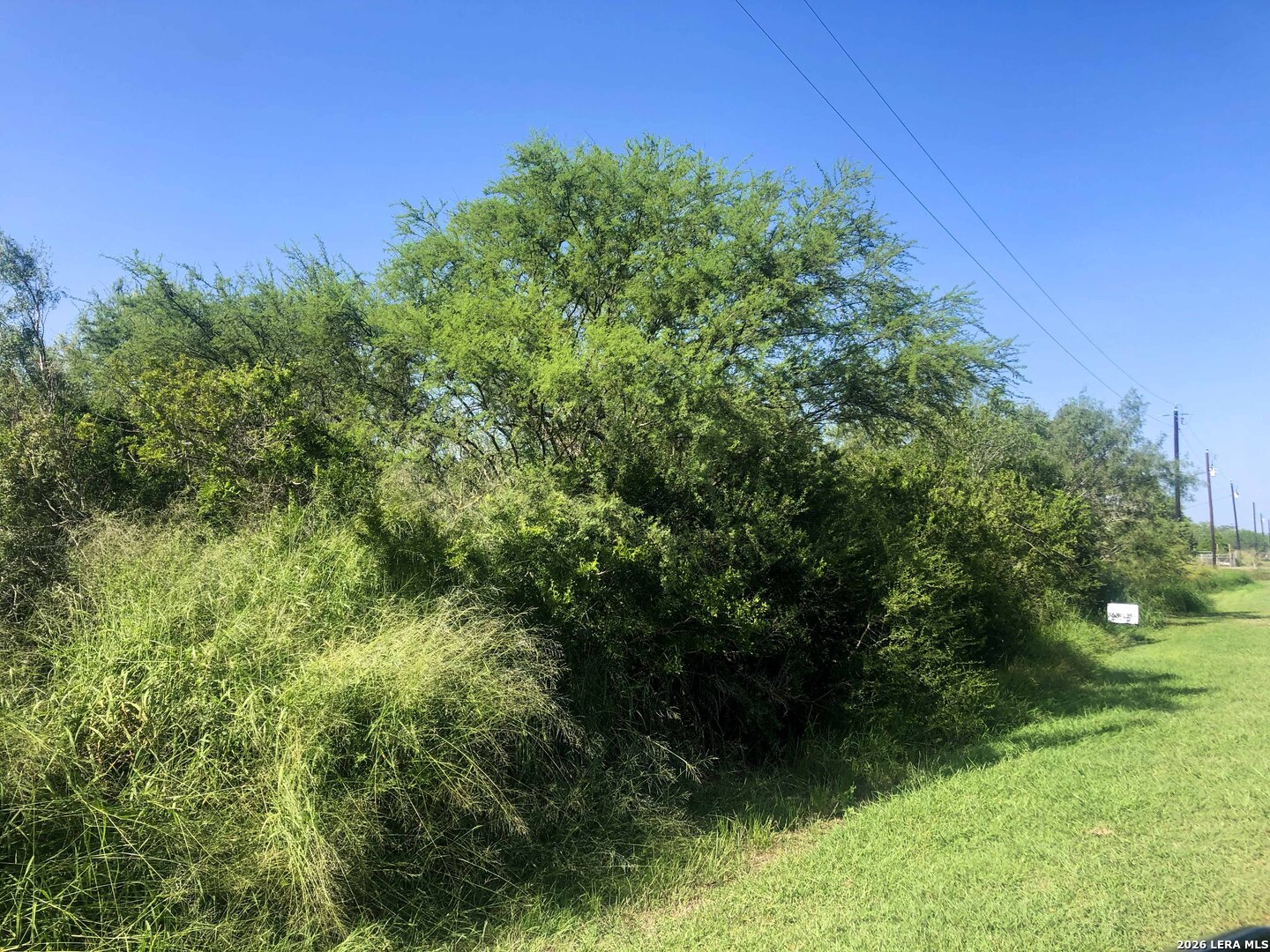 Homes for sale in Skidmore, TX | 000 Cr 619, Skidmore, TX 78389 | MLS# 2001712