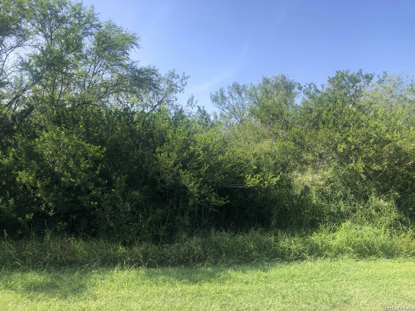 Homes for sale in Skidmore, TX | 000 Cr 619, Skidmore, TX 78389 | MLS# 2001712
