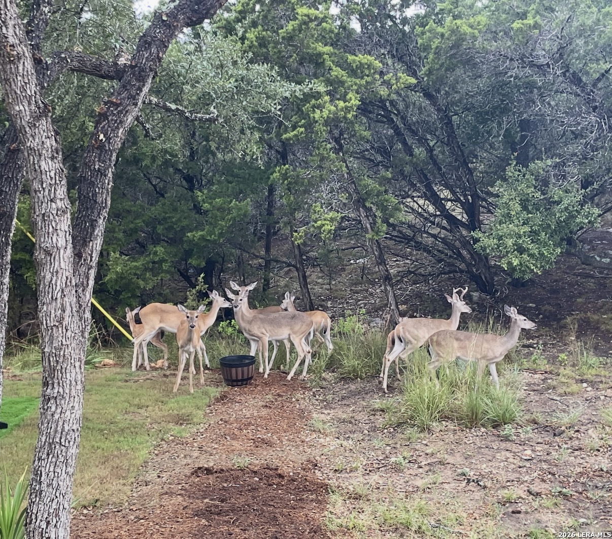713 Firefly Dr, Canyon Lake, TX 78133