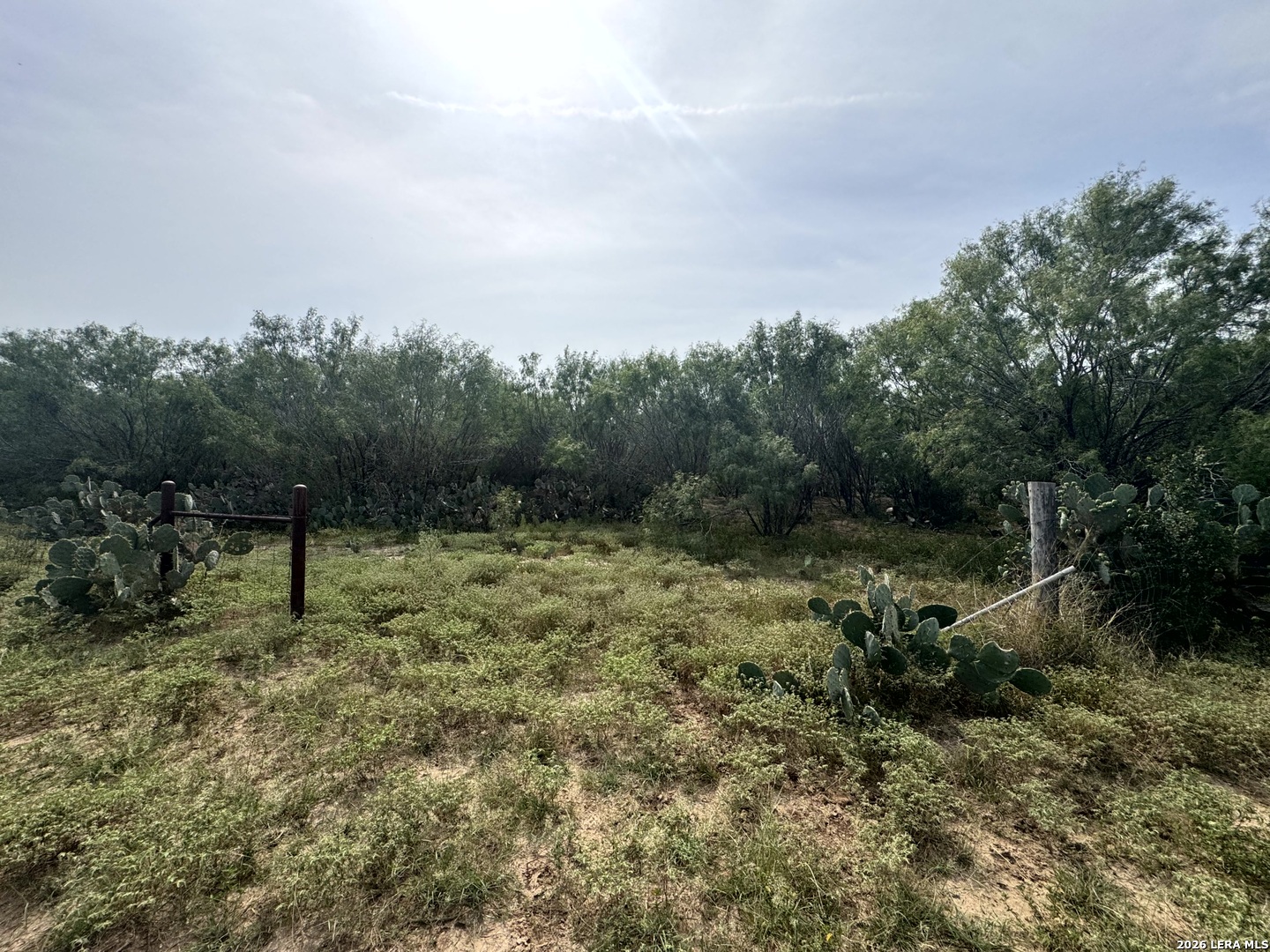 599 COUNTY ROAD 7611, Devine, TX 78016