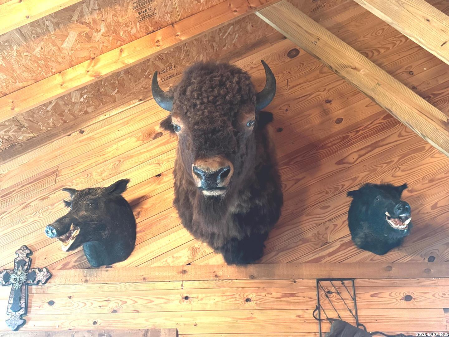 599 COUNTY ROAD 7611, Devine, TX 78016