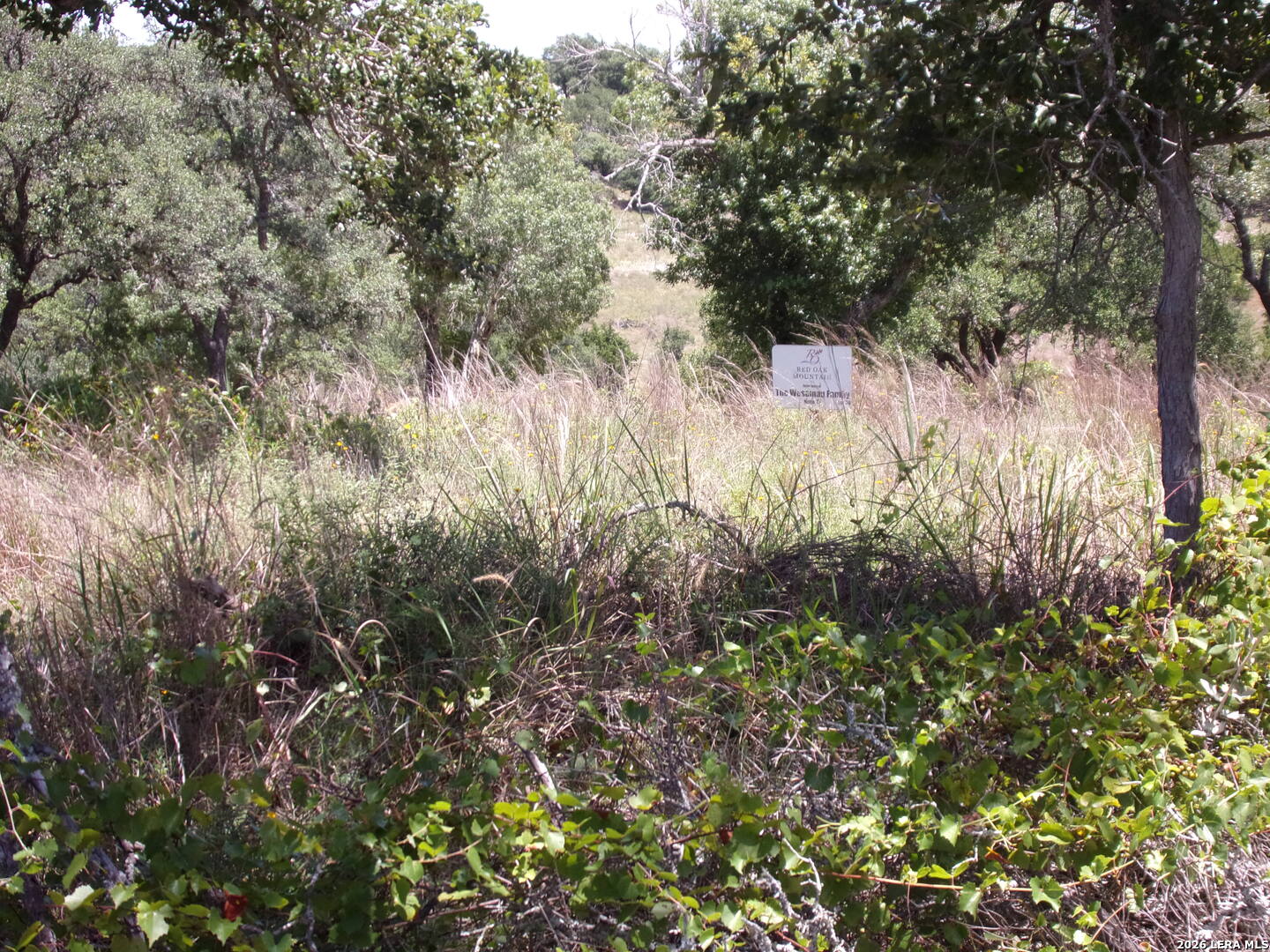 TBD Twisted Oak Trail Listing Cover Image