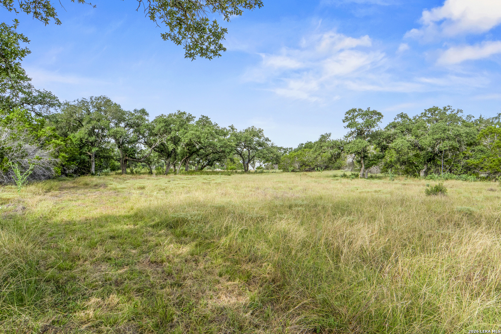 358 Serenity Pass Listing Cover Image