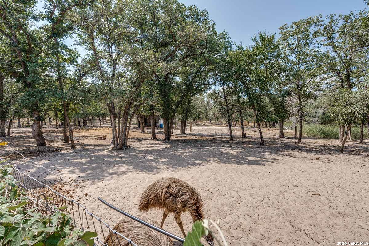 200 Oak Hollow Drive, La Vernia, TX 78121