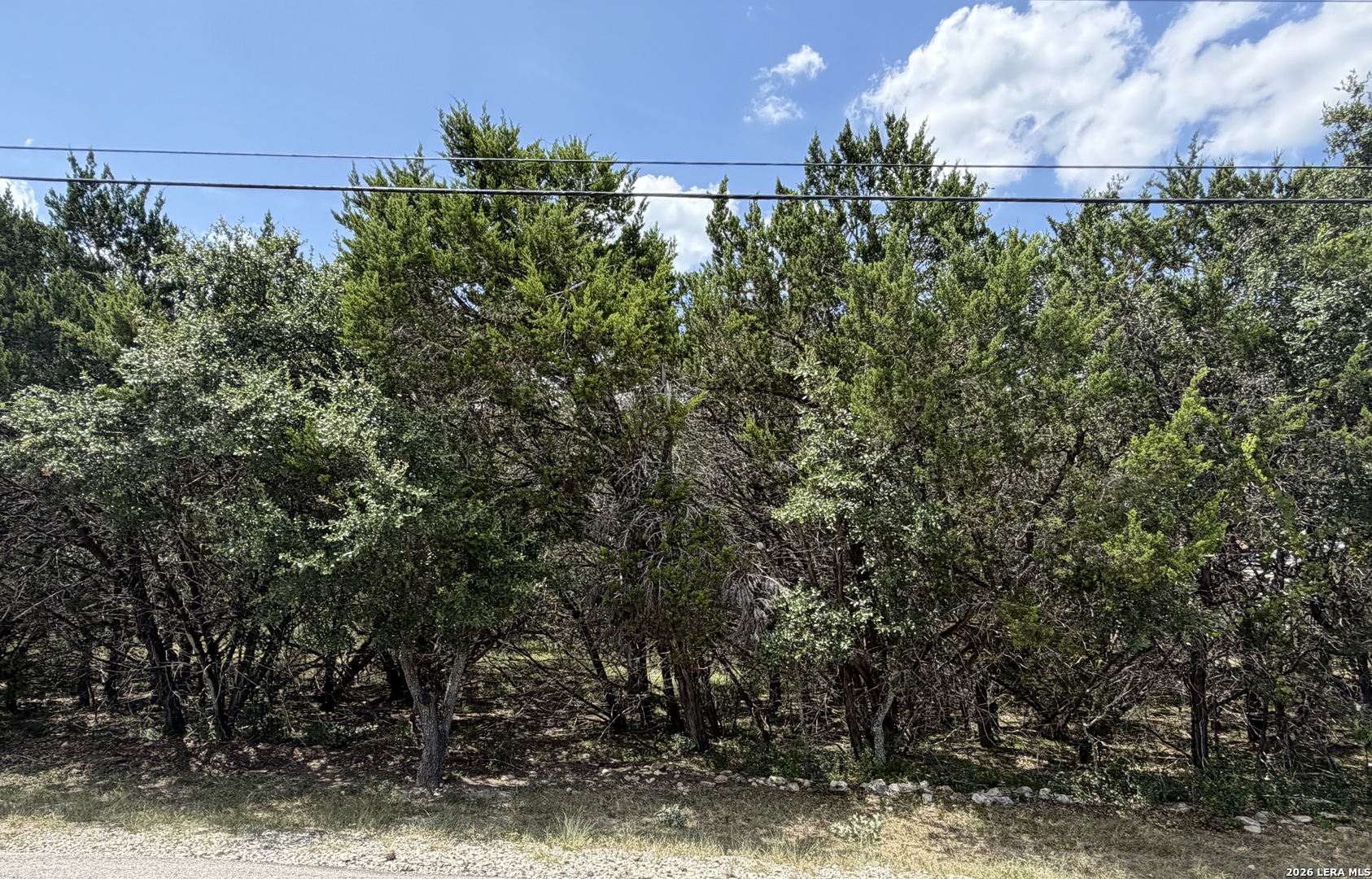 40th image of 180 Rosenberry, Bulverde, TX 78163 | MLS# 2008729