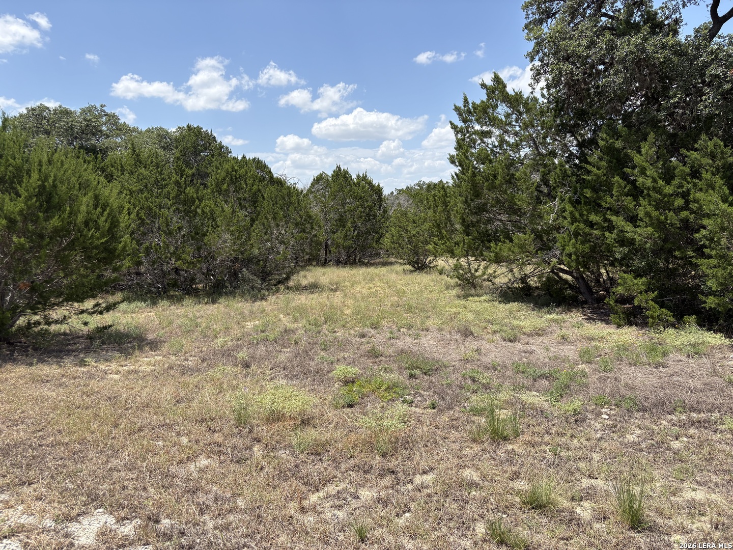 132 Palomino Spgs Listing Cover Image