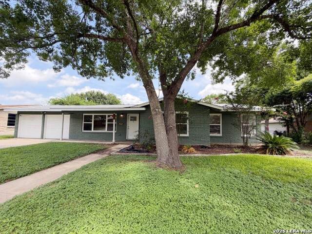 539 Oakleaf Dr
