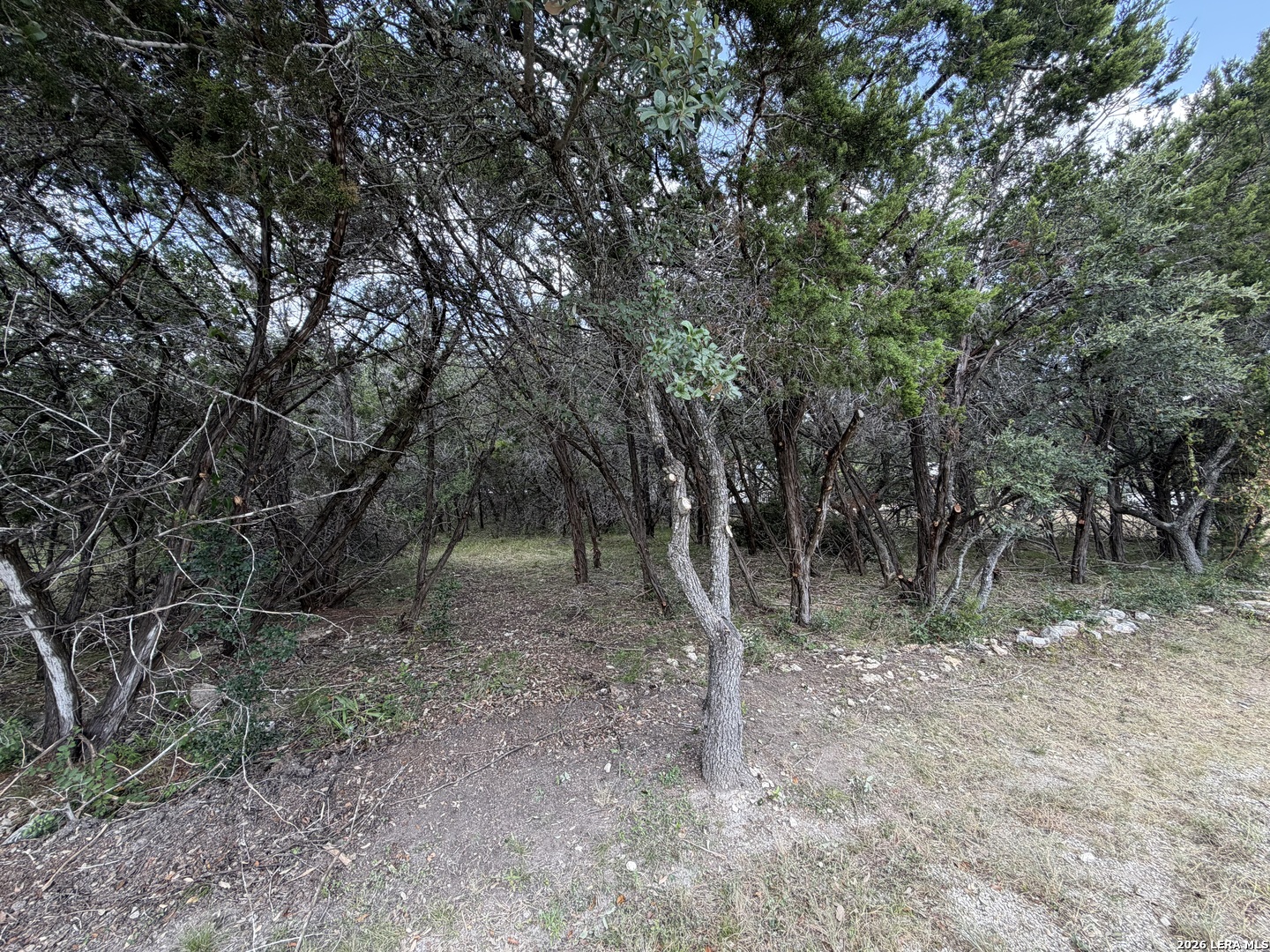 2nd image of 180 Rosenberry, Bulverde, TX 78163 | MLS# 2008729