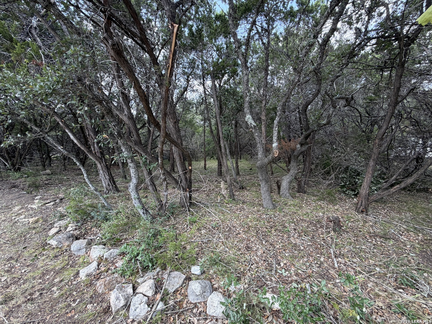 1st image of 180 Rosenberry, Bulverde, TX 78163 | MLS# 2008729