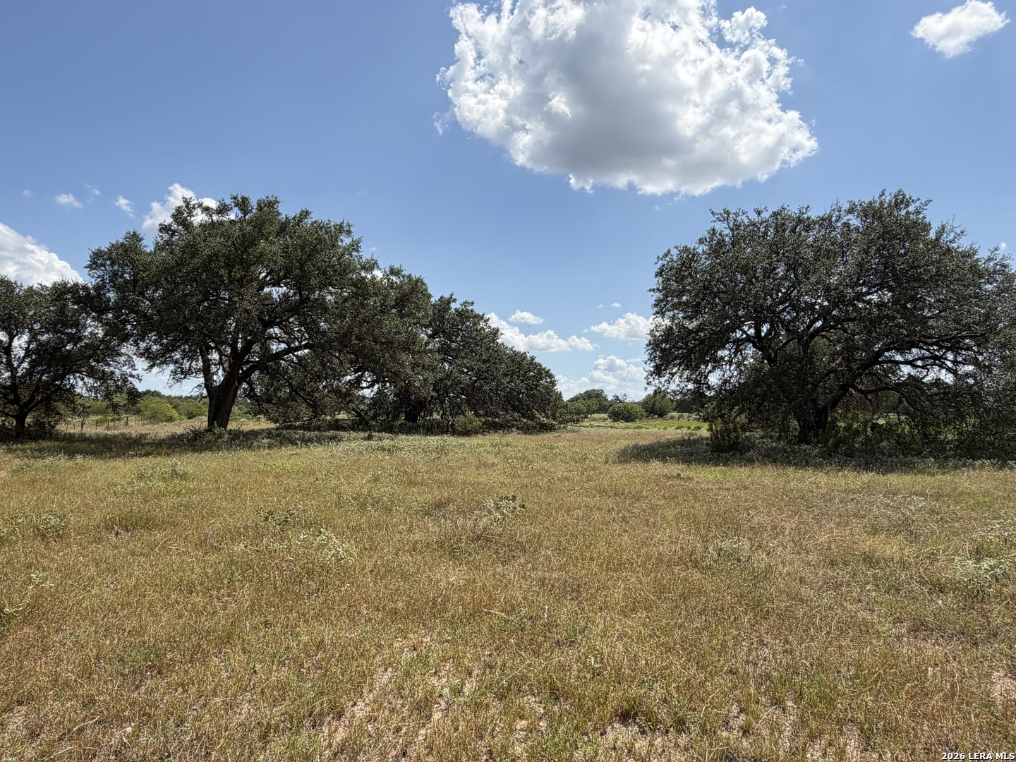 3432 Fm 3432 Listing Cover Image