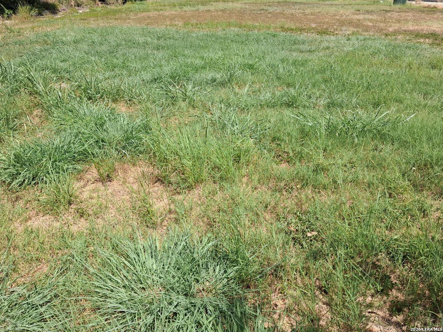 Photo 3 of Land for sale at 117 Lavonne Villa, Universal City, TX 78148 | MLS# 2020798 | Listing updated on 2026-10-02
