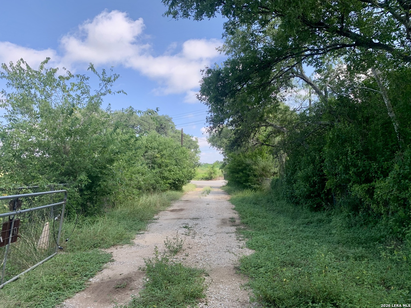 12330 Lower Seguin Rd Listing Cover Image