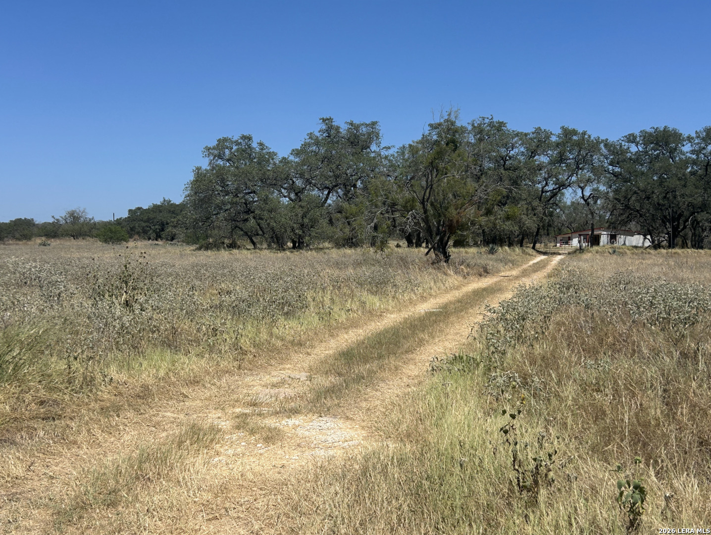 212 Majestic Oaks Dr, Poteet, TX