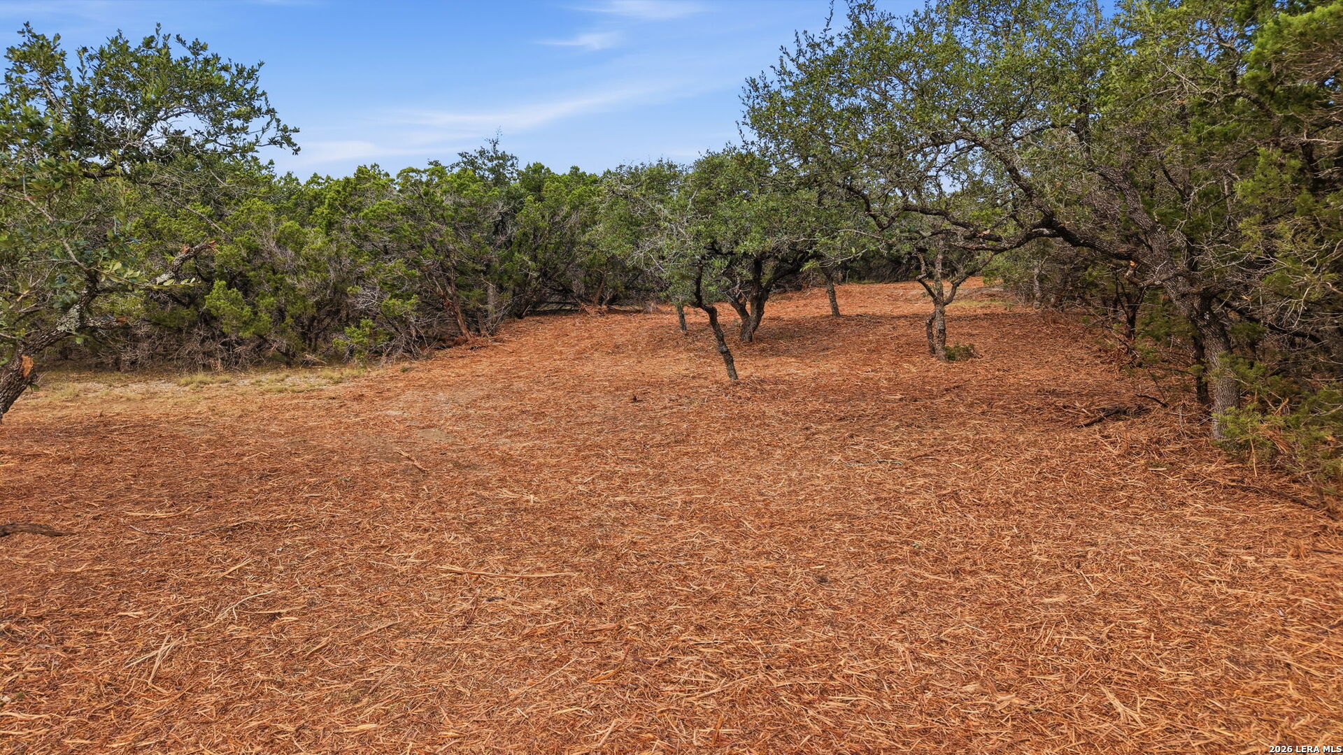 Photo 2 of Land for sale at 1280 Adyson, Bulverde, TX 78163 | MLS# 2002931 | Listing updated on 2026-10-10