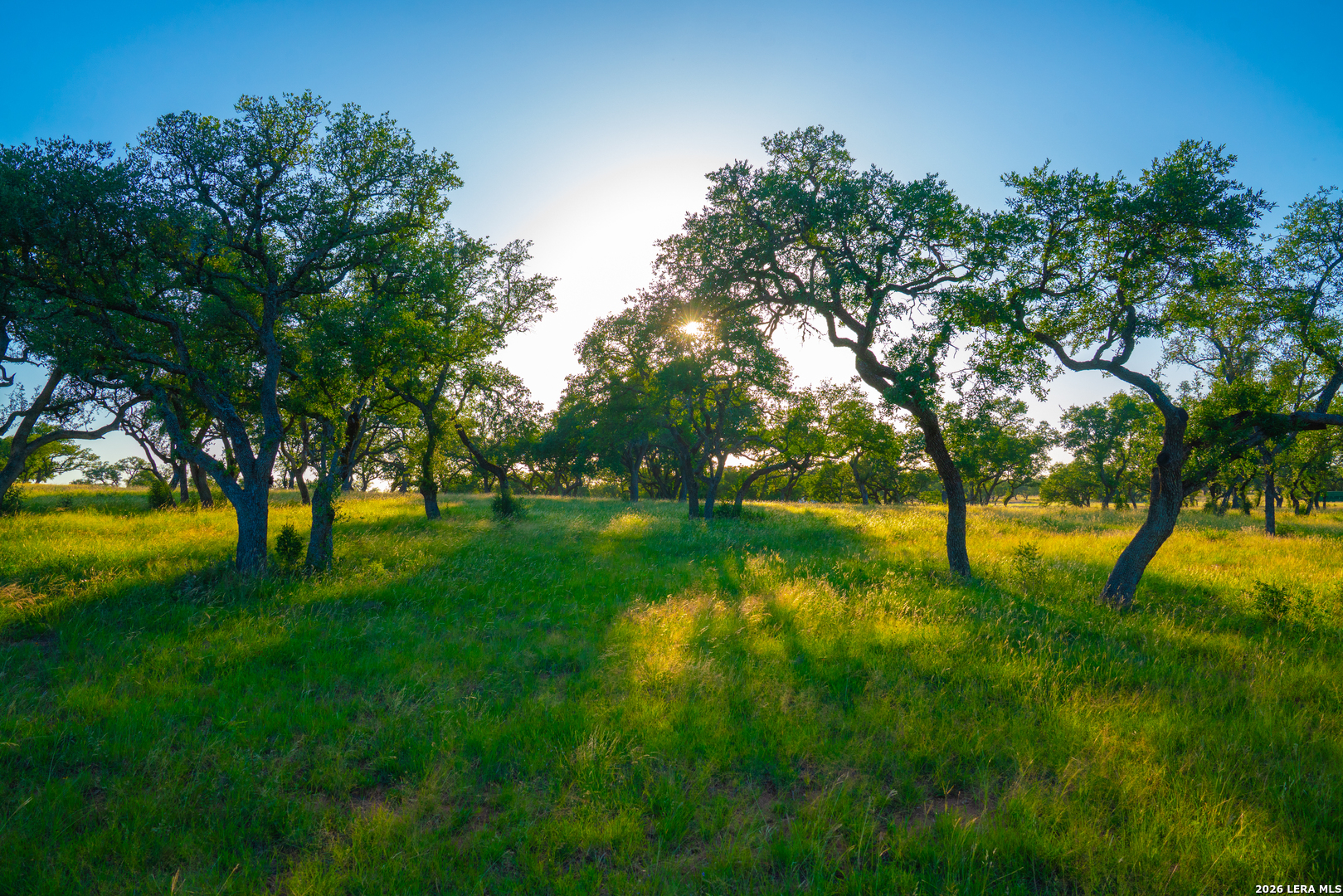 TBD Wine Trail Dr Listing Cover Image