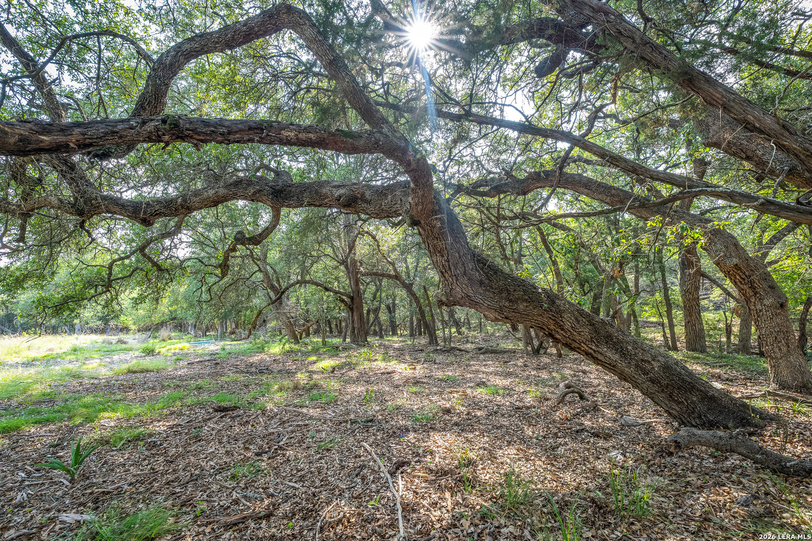 Land for sale at 9918 Kopplin Rd, New Braunfels, TX 78132 | MLS# 2018215