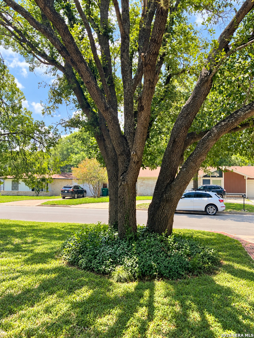 219 Shin Oak Dr