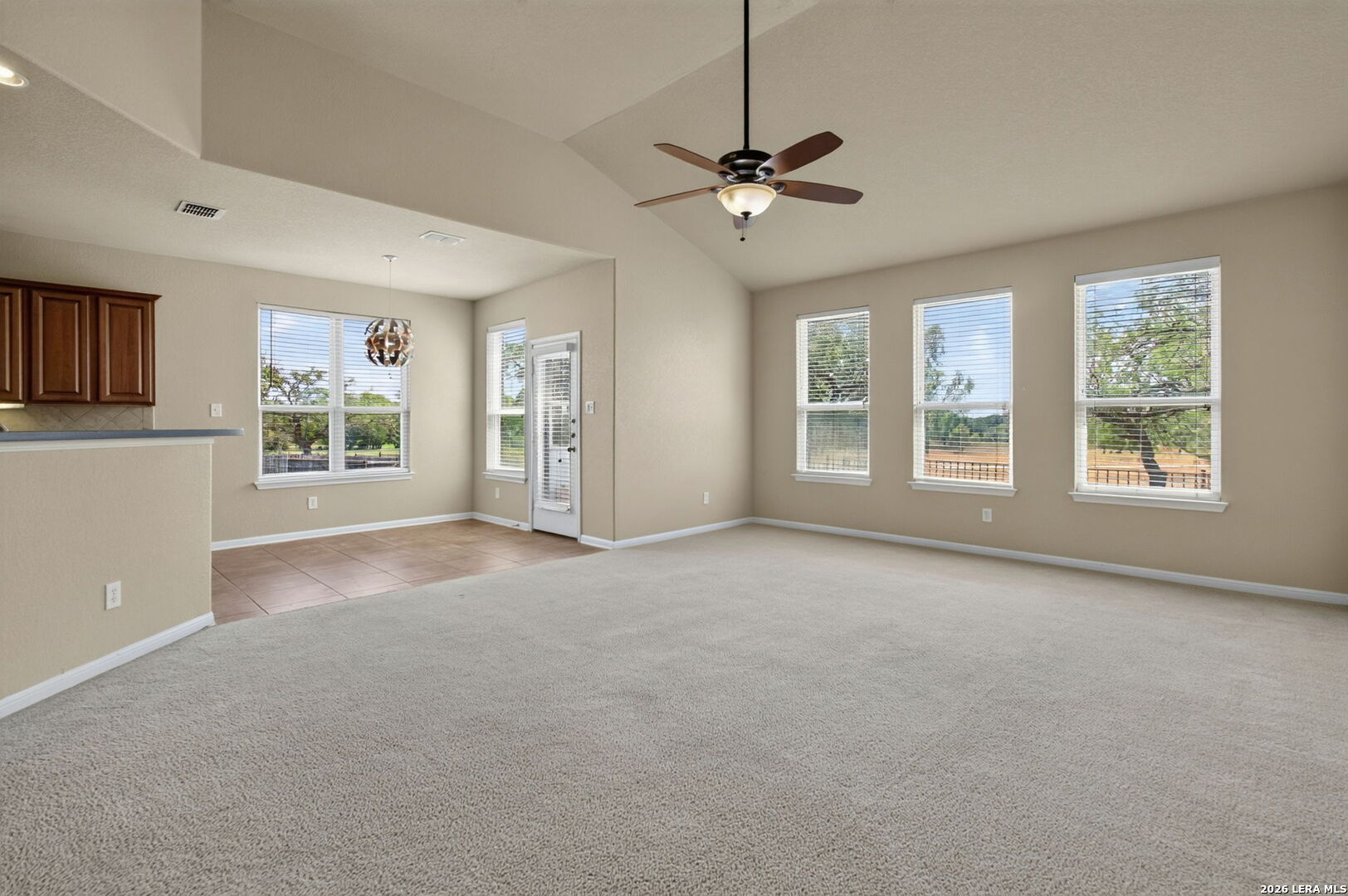 7230 WILLOW RAIN, San Antonio, TX 78244
